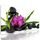 Obraz krásný květ orchideje ve SPA zátiší