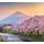 Samolepící fototapeta sakura pod japonskou Fuji