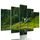 5-dílný obraz uklidňující příroda