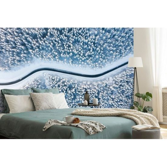 Samolepící tapeta cesta zimní krajinou