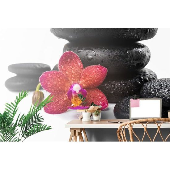 Samolepící tapeta červená orchidej se zen kameny