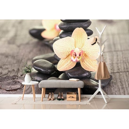 Samolepící fototapeta krásná orchidej se zen kameny