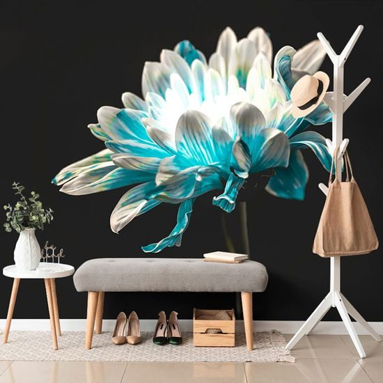 Samolepící tapeta nádherná sedmikráska na tmavém pozadí