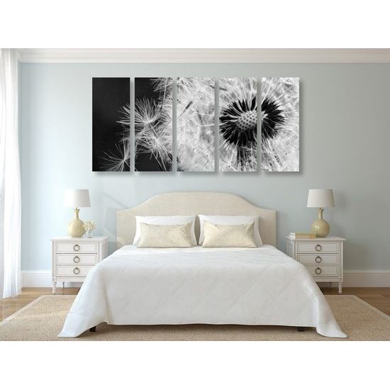 5-dílný obraz černobílá pampeliška ve větru