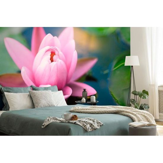 Samolepící tapeta něžný plovoucí květ