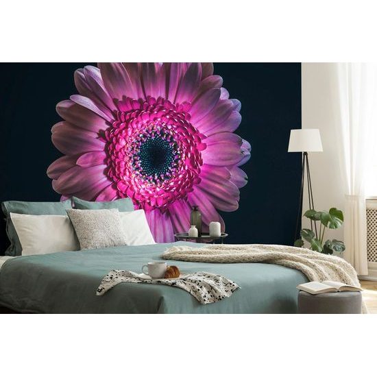 Originální samolepící tapeta gerbera na tmavém pozadí