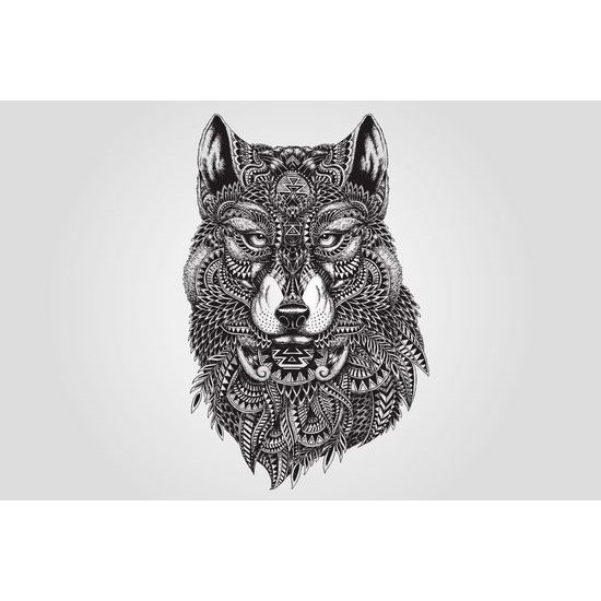 Tapeta vlk samotář