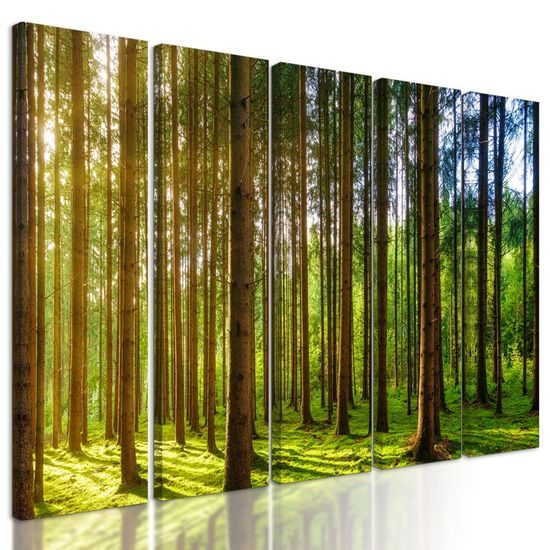 5-dílný obraz nádherné paprsky slunce mezi stromy