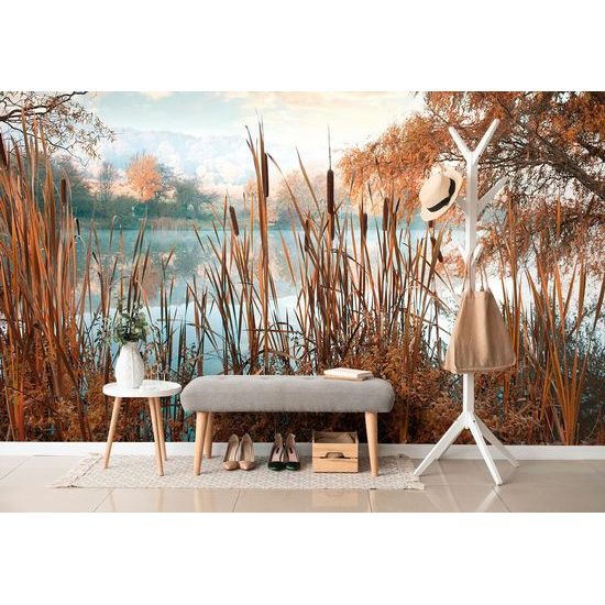 Samolepící fototapeta kouzlo ranního rybníka