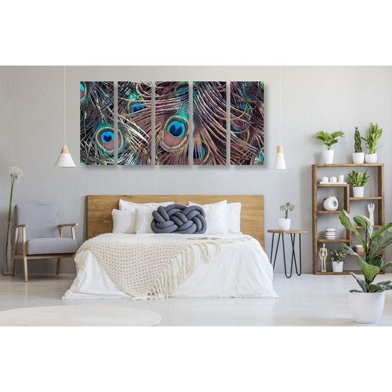 5-dílný obraz paví peří