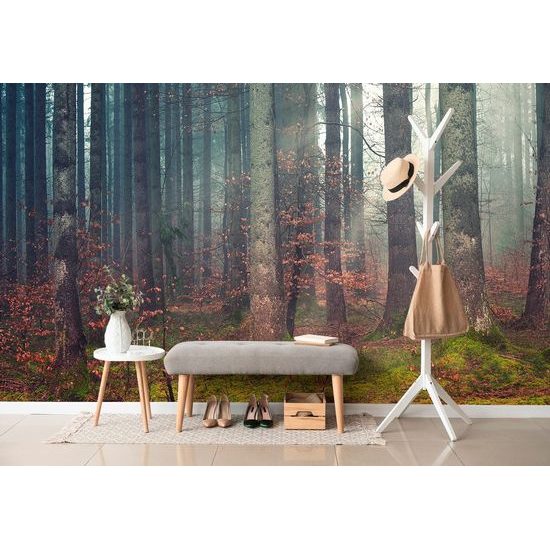 Originální samolepící fototapeta zákoutí lesa
