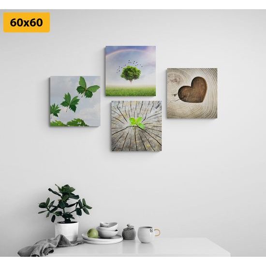 Set obrazů nádherné detaily přírody