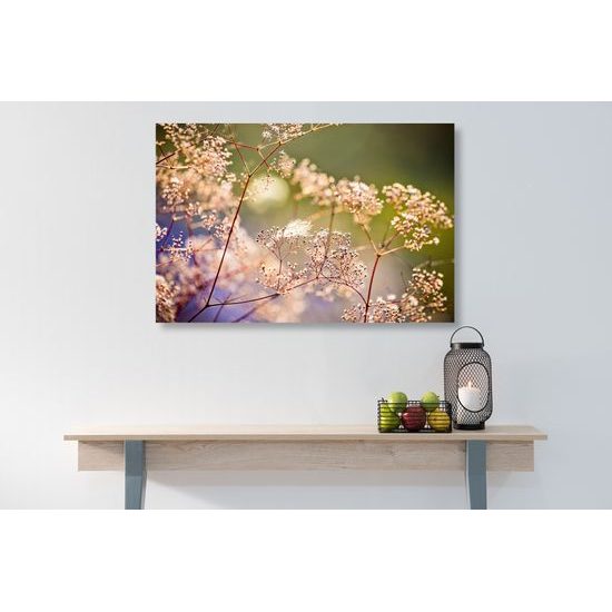 Obraz nádherné květiny