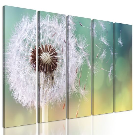 5-dílný obraz pampeliška ve větru