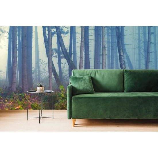 Samolepící fototapeta mysteriózní les