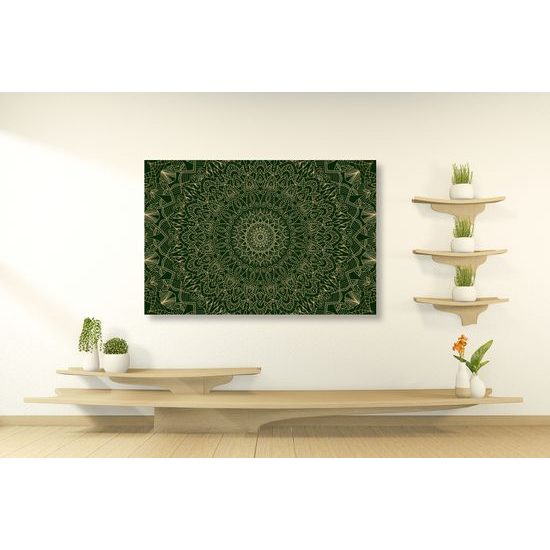 Obraz zelená detailní Mandala