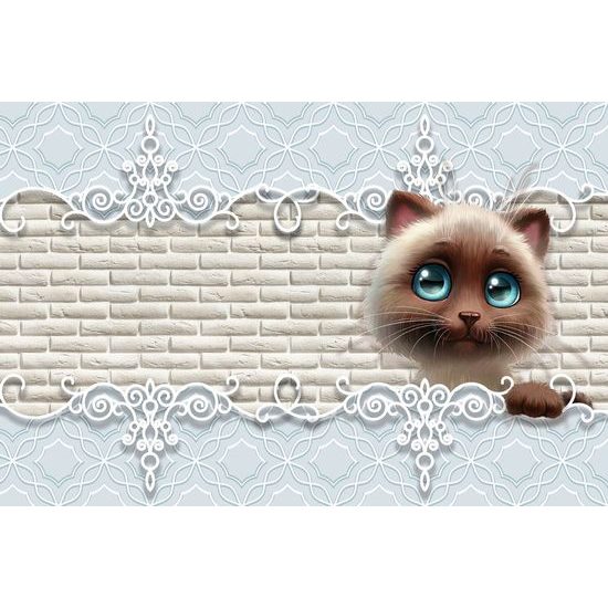 Tapeta hlava koťata na zajímavém pozadí