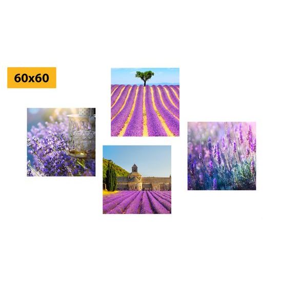 Set obrazů levandulová nádhera