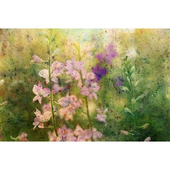 Tapeta neobyčejná kresba rostliny z hor