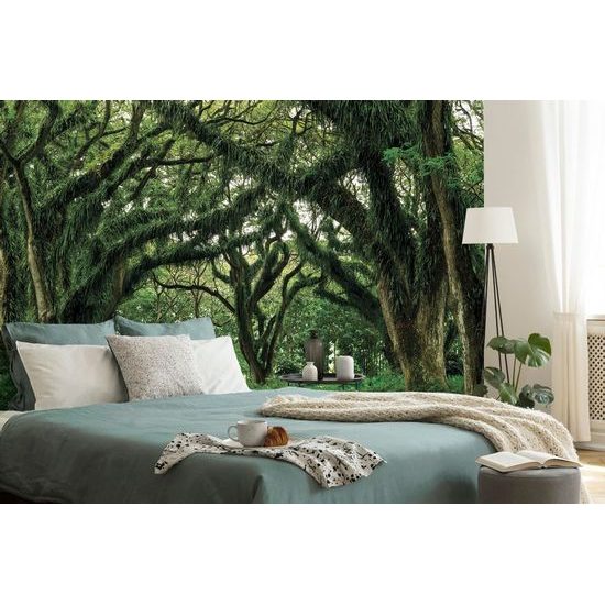 Samolepící fototapeta krása přírody