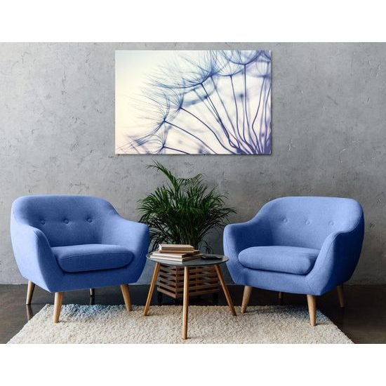 Obraz jedinečný detail pampelišky