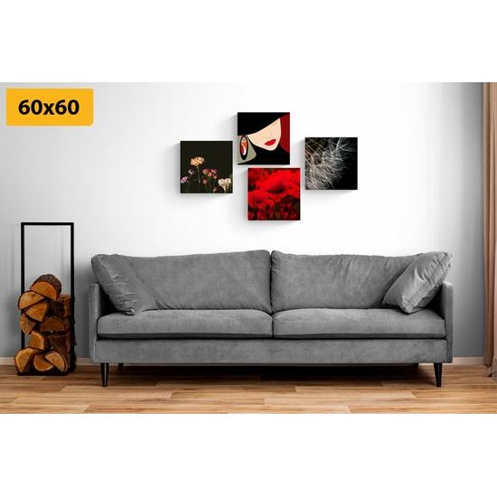 Set obrazů tajemná žena