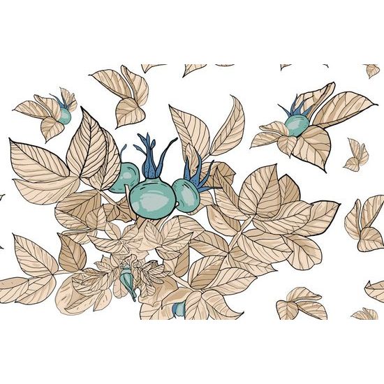 Tapeta květiny v podzimní zahrádce