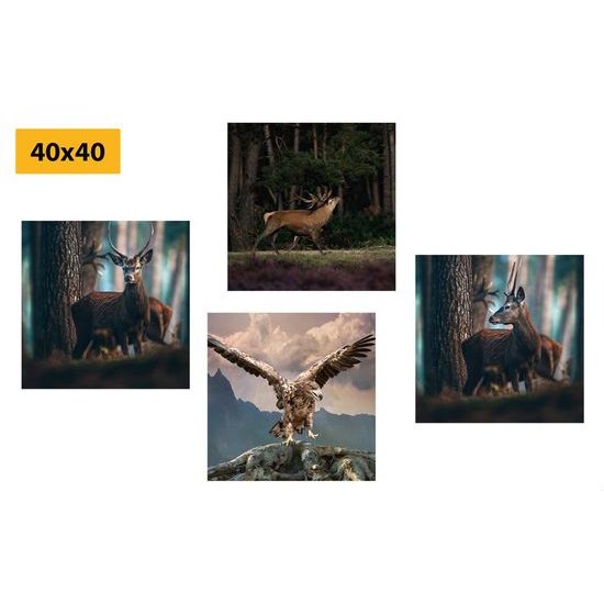 Set obrazů majestátní lesní zvířata