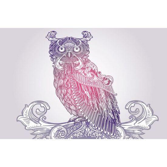 Tapeta zajímavá sova v růžových tónech