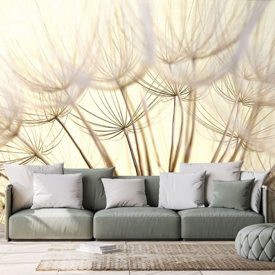 Fototapeta nádherná semínka pampelišky