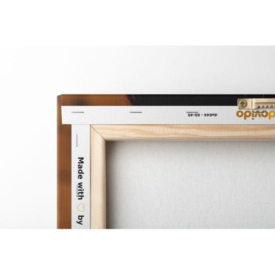 Obraz vznešený kůň