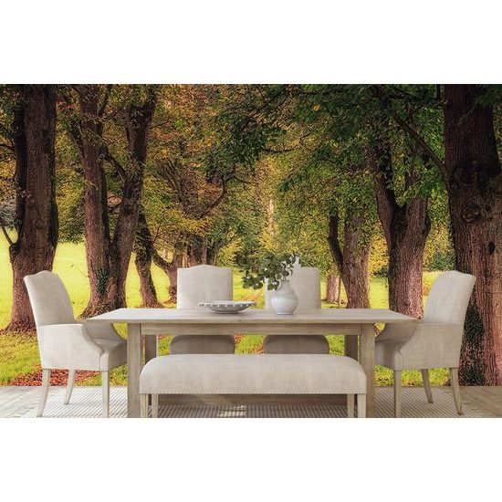 Tapeta stezka uprostřed podzimních stromů