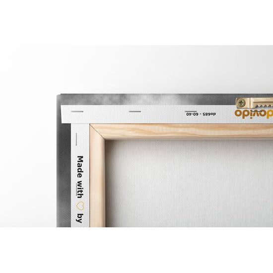 Obraz nádherný lev v černobílém provedení