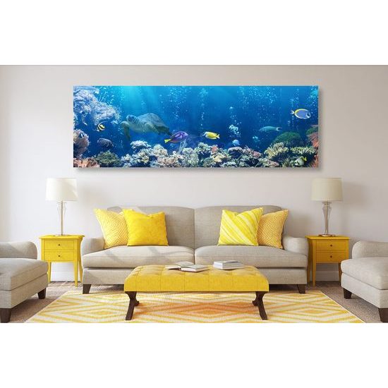 Obraz krásné mořské ryby