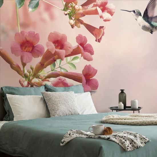 Tapeta nádherný kolibřík