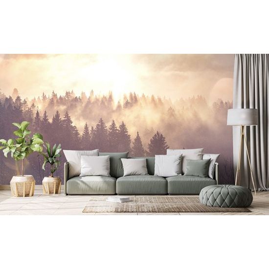 Fototapeta ranní paprsky slunce nad lesem