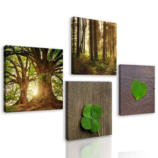 Set obrazů síla přírody