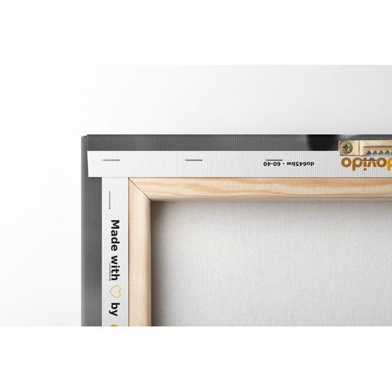 Obraz majestátní tygr v černobílém provedení