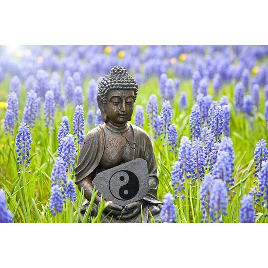 Fototapeta Buddha s jin a jang uprostřed květin