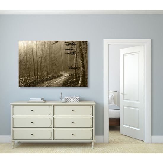 Obraz lesní cesta v sépiovém provedení