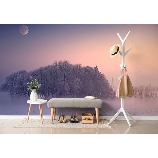 Samolepící tapeta úplněk nad zamlženou vesničkou