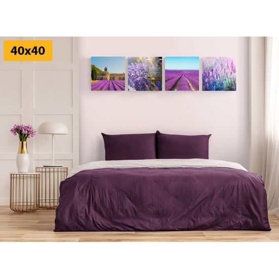 Set obrazů krásná levandulová pole