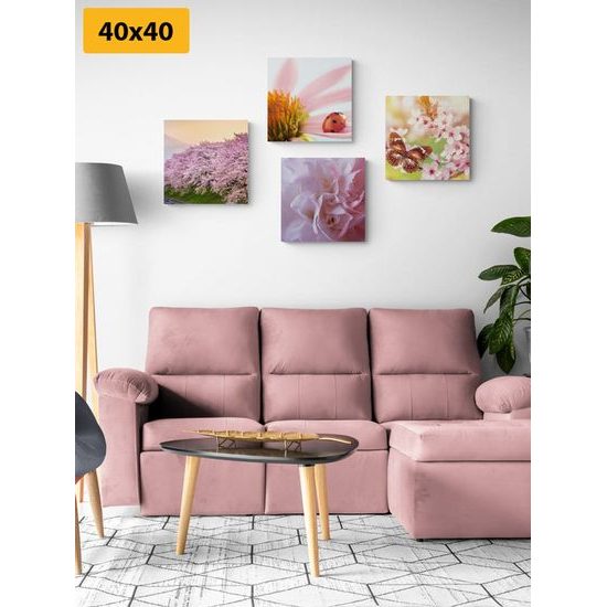 Set obrazů něžnost přírody