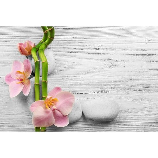 Samolepící fototapeta zátiší s romantickou orchidejí