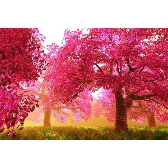 Nádherná fototapeta třešňové stromy