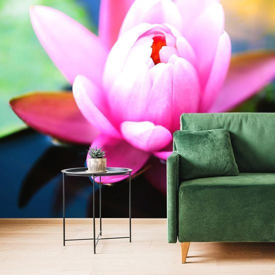 Samolepící tapeta něžný plovoucí květ