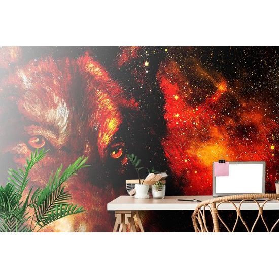 Tapeta dravý pohled vlka