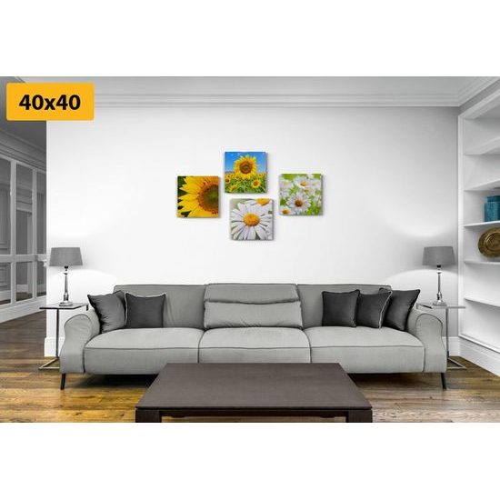 Set obrazů krásné letní luční květiny