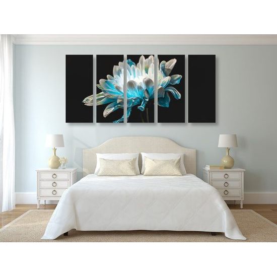 5-dílný obraz zajímavá sedmikráska