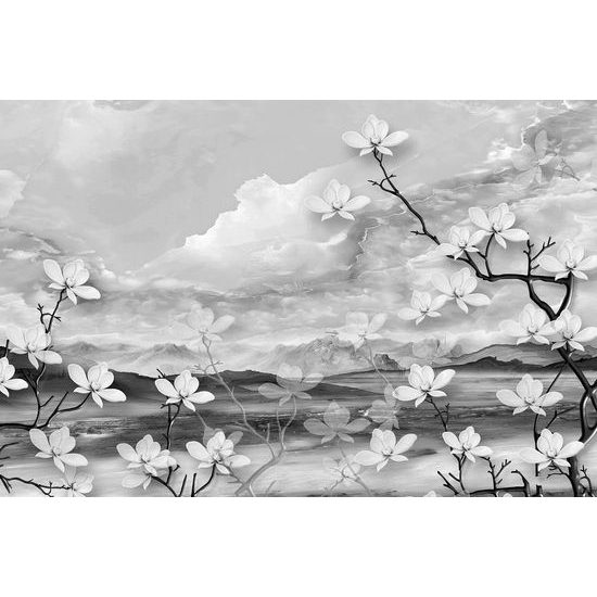 Tapeta hra přírody v černobílém provedení